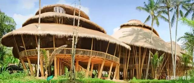 世界上最大的竹制建筑